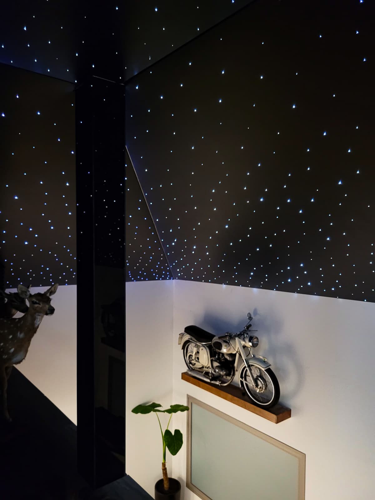 Cielorraso tensado con estrellas